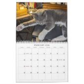 PA Paws 2025 12 Monat Personalisierter Kalender (Feb 2026)