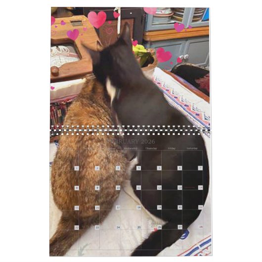PA Paws 2 Year Calendar 2023-2024 Kalender (Feb 2026)