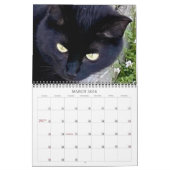 PA Paws 2 Year Calendar 2023-2024 Kalender (Mär 2026)