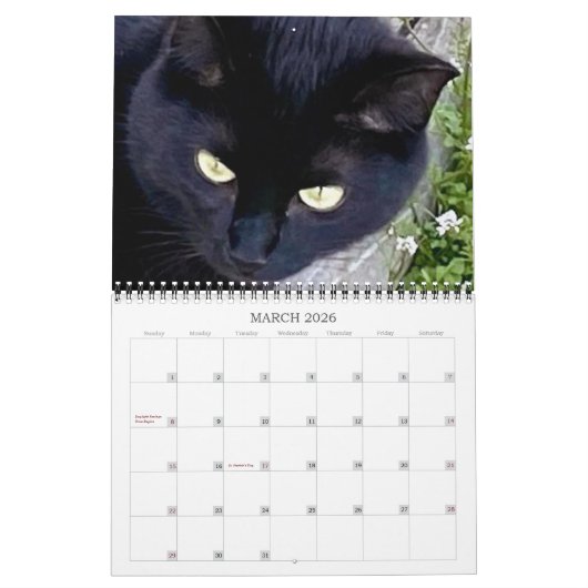 PA Paws 2 Year Calendar 2023-2024 Kalender (Mär 2026)
