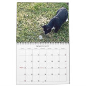 PA Pflastern 12 Monate Personalisierter Kalender (Mär 2027)