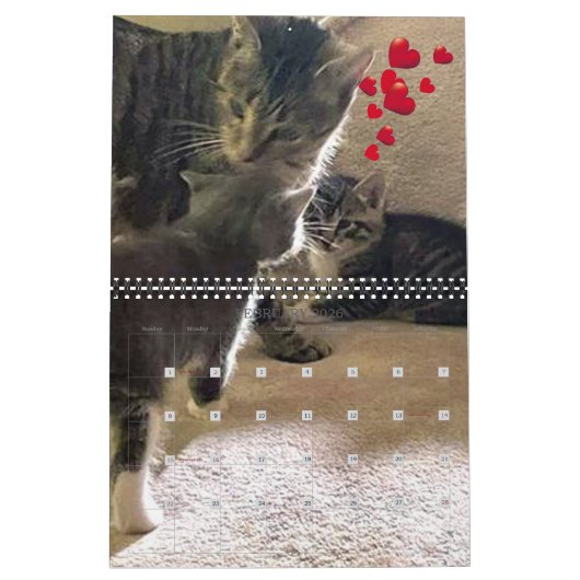 PA Pflastern 12 Monate Personalisierter Kalender (Feb 2026)