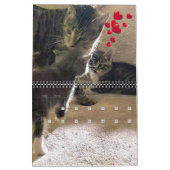 PA Pflastern 12 Monate Personalisierter Kalender (Feb 2027)