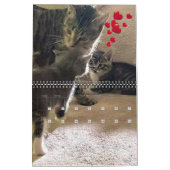 PA Pflastern 12 Monate Personalisierter Kalender (Feb 2026)