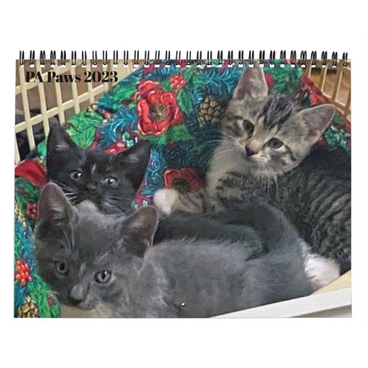 PA Pflastern 12 Monate Personalisierter Kalender (Titelbild)