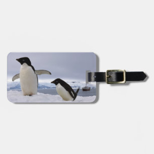 Paar Adelie-Pinguine Antarktika Gepäckanhänger
