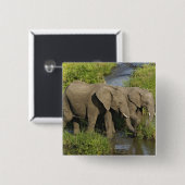 Paar afrikanischer Elefanten Masai Mara Button (Vorne & Hinten)