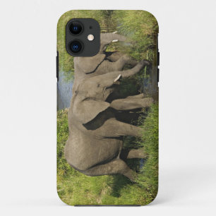 Paar afrikanischer Elefanten Masai Mara Case-Mate iPhone Hülle