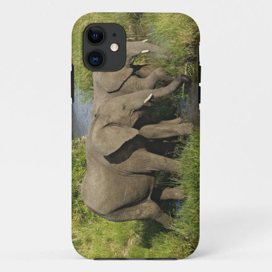 Paar afrikanischer Elefanten Masai Mara Case-Mate iPhone Hülle (Rückseite)