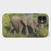 Paar afrikanischer Elefanten Masai Mara Case-Mate iPhone Hülle (Rückseite (Horizontal))
