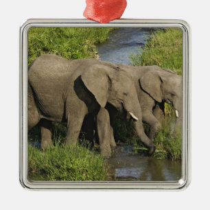 Paar afrikanischer Elefanten Masai Mara Ornament Aus Metall