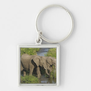 Paar afrikanischer Elefanten Masai Mara Schlüsselanhänger