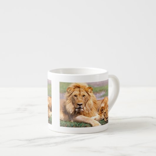 Paar Afrikanischer Löwen, Panthera leo, Tansania Espressotasse (Vorderseite Rechts)