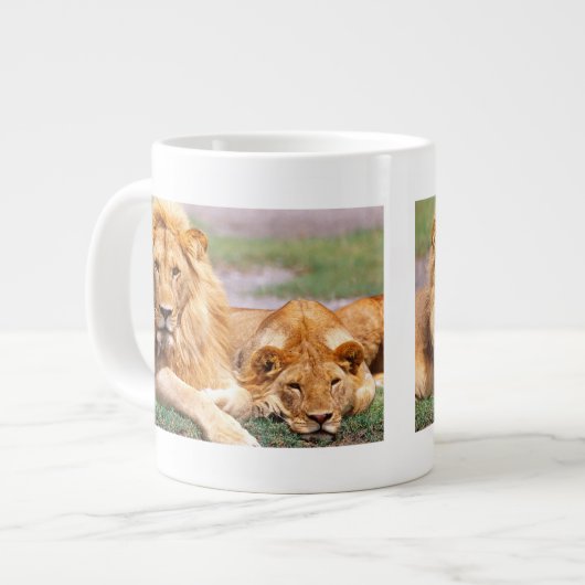 Paar Afrikanischer Löwen, Panthera leo, Tansania Jumbo-Tasse (Vorderseite Links)
