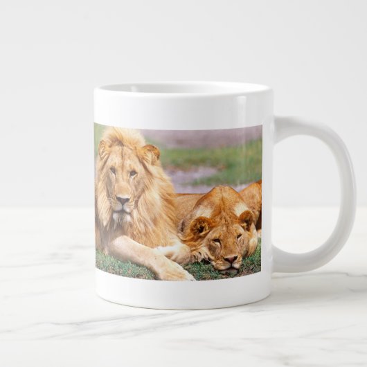Paar Afrikanischer Löwen, Panthera leo, Tansania Jumbo-Tasse (Rechts)