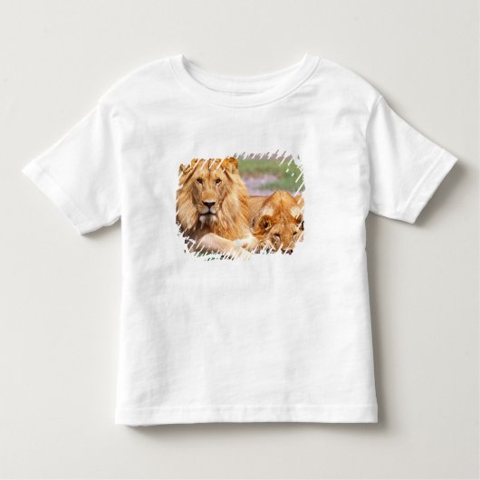 Paar Afrikanischer Löwen, Panthera leo, Tansania Kleinkind T-shirt (Vorderseite)