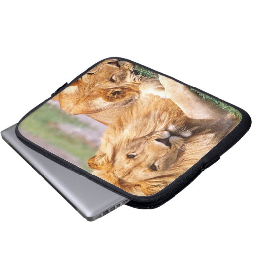 Paar Afrikanischer Löwen, Panthera leo, Tansania Laptopschutzhülle (Vorne Knopf)