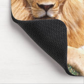 Paar Afrikanischer Löwen, Panthera leo, Tansania Mousepad (Ecke)