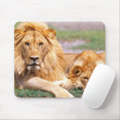 Paar Afrikanischer Löwen, Panthera leo, Tansania Mousepad (Mit Mouse)