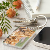 Paar Afrikanischer Löwen, Panthera leo, Tansania Schlüsselanhänger (Vorderseite rechts)