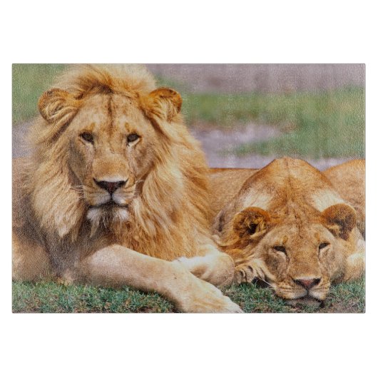 Paar Afrikanischer Löwen, Panthera leo, Tansania Schneidebrett (Vorderseite)