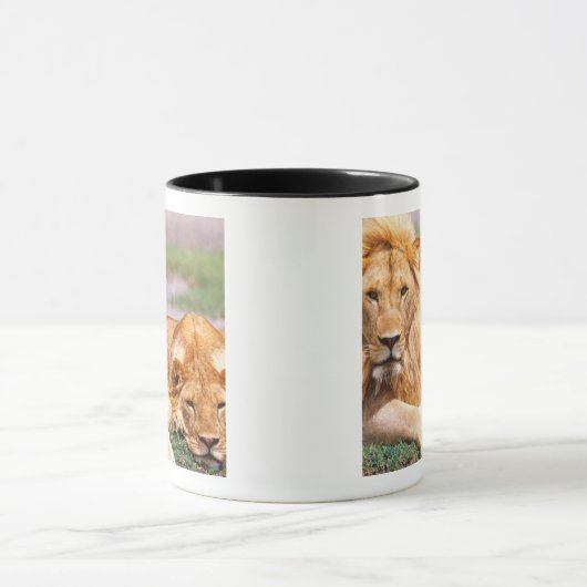 Paar Afrikanischer Löwen, Panthera leo, Tansania Tasse (Zentrum)