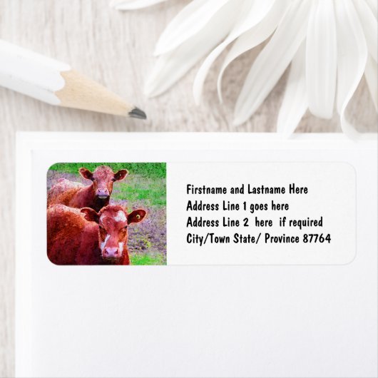 Paar alte Kühe (Insitu)