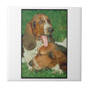 Paar-Basset-Fliese Fliese
