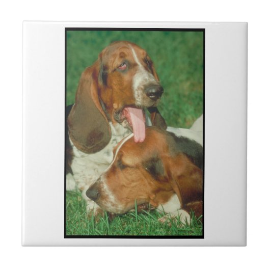 Paar-Basset-Fliese Fliese (Vorderseite)