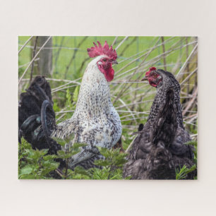 Paar bunter Hähnchen Puzzle