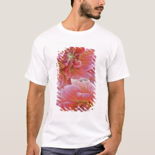 Paar Dahlienblüten, Dahlia spp. , T-Shirt