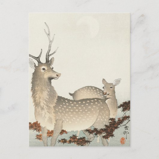Paar Deers Painting von Ohara Koson Postkarte (Vorderseite)