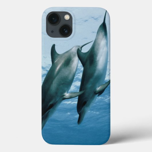Paar Delphine Case-Mate iPhone Hülle (Rückseite)
