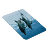 Paar Delphine Magnet (Rechte Seite)