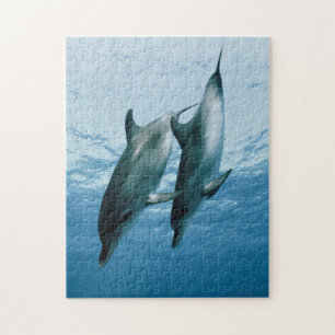 Paar Delphine Puzzle