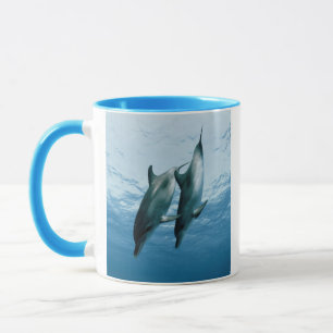 Paar Delphine Tasse