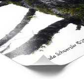 Paar der Adler, die Spaß haben! Fotodruck (Ecke)