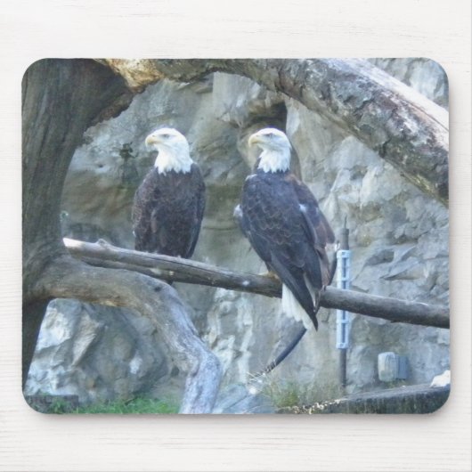Paar der Bald-Adler Mousepad (Vorne)