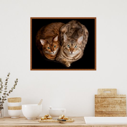 Paar der Bengalischen Kätzchen Poster (Küche)