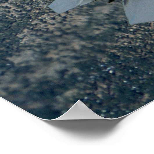 Paar der F22-Luftstreitkräfte Poster (Ecke)