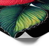 Paar der Kardinal Amid Vibrant Rose Poster (Ecke)