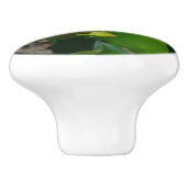 Paar der Lotus-Blume I Keramikknauf (Seitenansicht)