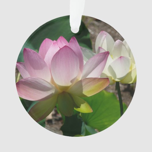 Paar der Lotus-Blume I Ornament (Vorderseite)