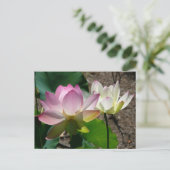 Paar der Lotus-Blume I Postkarte (Stehend Vorderseite)