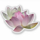 Paar der Lotus-Blume II Aufkleber (Vorderseite)