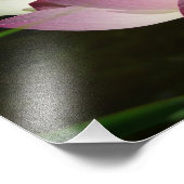 Paar der Lotus-Blume II Fotodruck (Ecke)