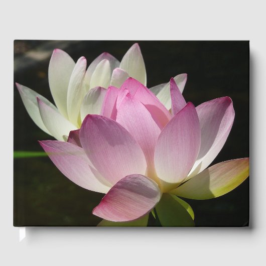 Paar der Lotus-Blume II Gästebuch (Vorderseite)