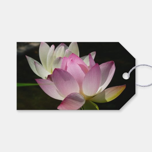Paar der Lotus-Blume II Geschenkanhänger (Vorderseite (Horizontal))