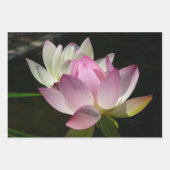 Paar der Lotus-Blume II Geschenkpapier Set (Vorderseite)