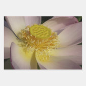 Paar der Lotus-Blume II Geschenkpapier Set (Vorderseite 3)